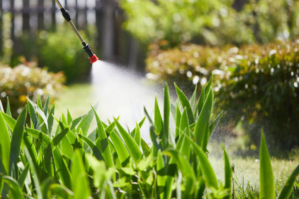 Tamper-Resistant Bait Stations for Rodents in Seneca Knolls