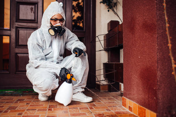 Attic and Crawl Space Rodent Treatment in Seneca Knolls