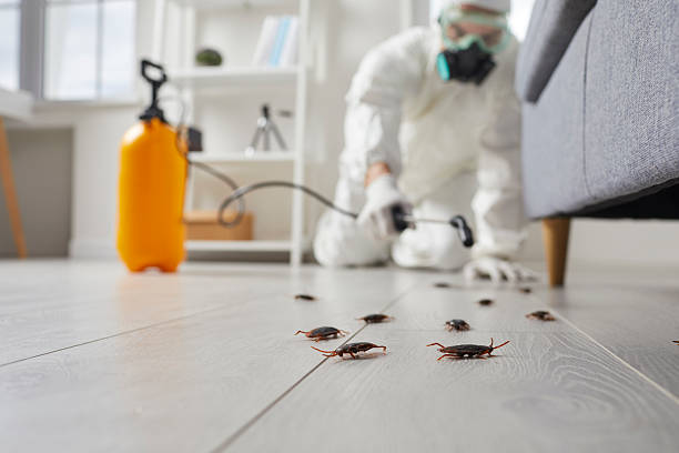 Commercial Rodent Management in Seneca Knolls